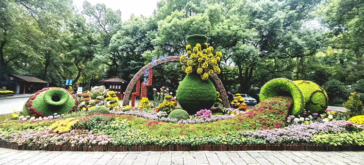 五色草花坛在造景中的应用