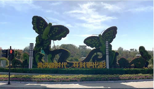 QQ截图20240319132529.jpg